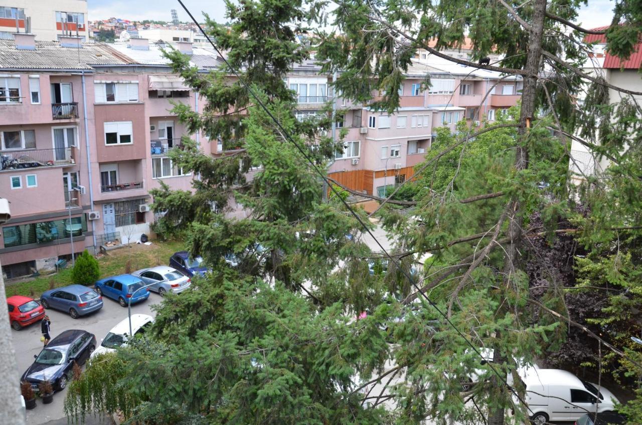 Center House Hostel Pristina Esterno foto